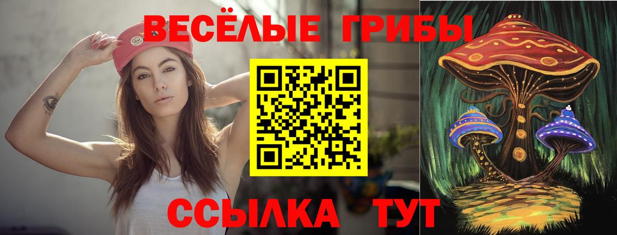 Чистополь  где можно купить   Вход с VPN  Псилоцибиновые грибы Cubensis 